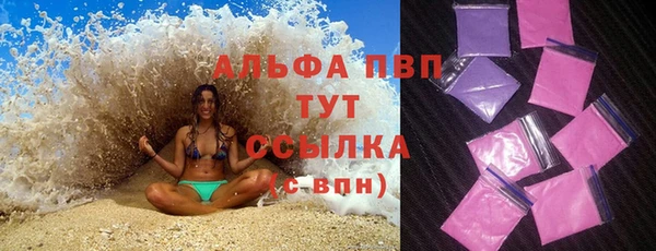 ПСИЛОЦИБИНОВЫЕ ГРИБЫ Волоколамск