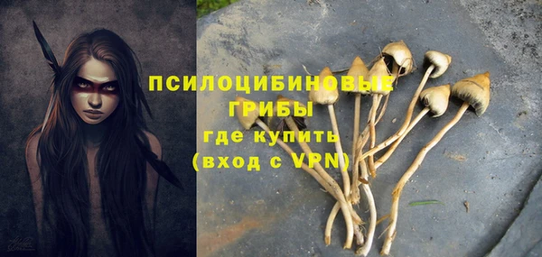 jwh Бородино