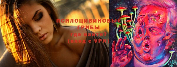 ПСИЛОЦИБИНОВЫЕ ГРИБЫ Волоколамск